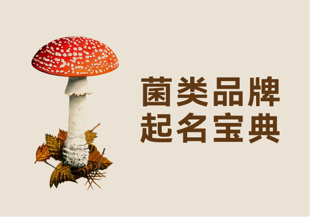 菌類品牌起名寶典：從寓意到商標(biāo)的全流程指南